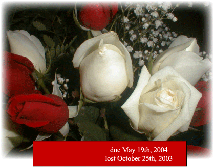 Roses for our angel